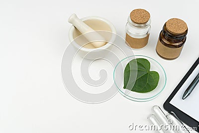 An organic green leaf in watch glass with a mortar and pestle Stock Photo