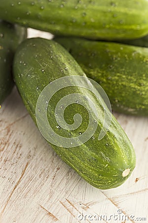 Organic Green Pickle Cucumbers Stock Photo