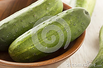 Organic Green Pickle Cucumbers Stock Photo