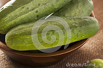 Organic Green Pickle Cucumbers Stock Photo