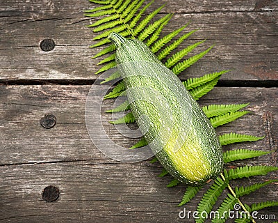 Organic, green zucchini, fern leave on a wooden table with place for text Stock Photo