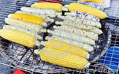 Organic grilled corn sale on street market Stock Photo