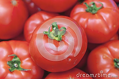 Organic healthy fresh big red ripe tomatoes on the market on sun Stock Photo