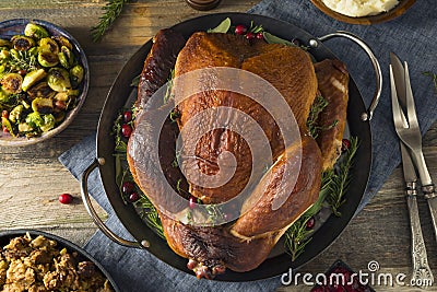 Organic Homemade Smoked Turkey Dinner for Thanksgiving Stock Photo