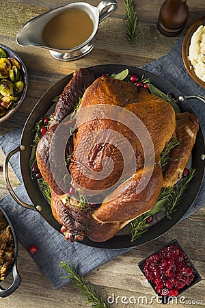 Organic Homemade Smoked Turkey Dinner for Thanksgiving Stock Photo