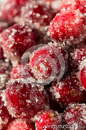 Organic Homemade Sugared Sweet Cranberries Stock Photo