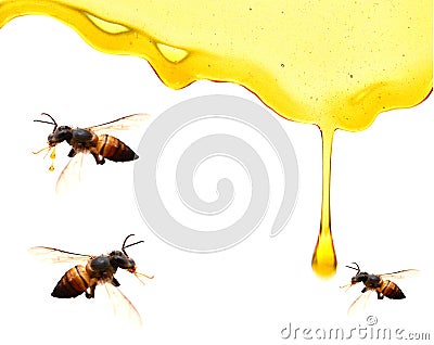 Organic Honey. Stock Photo