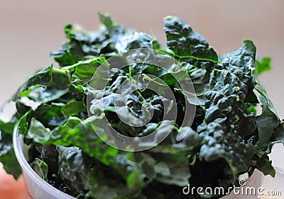 Organic Kale Stock Photo