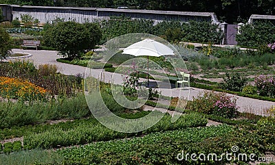 Organic kitchen garden. Stock Photo