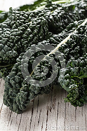 Organic Lacinato Kale macro shot Stock Photo
