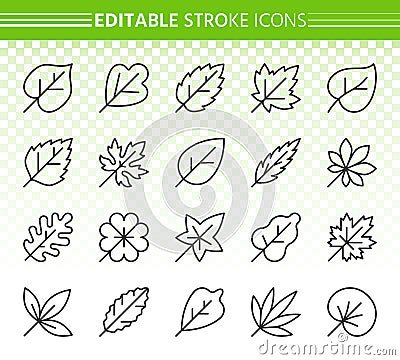 Organic Leaf simple black line icons vector set Vector Illustration