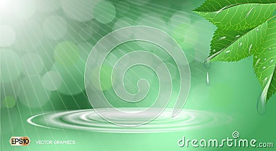 Organic leaves with waterdrops. Dazzling effect background. 3D Realistic Vector illustration Vector Illustration