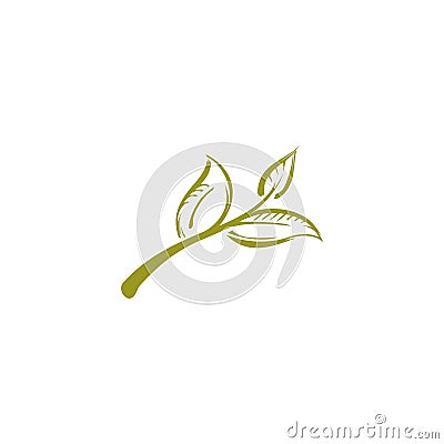 Organic line logo of a stem with three leaves Vector Illustration