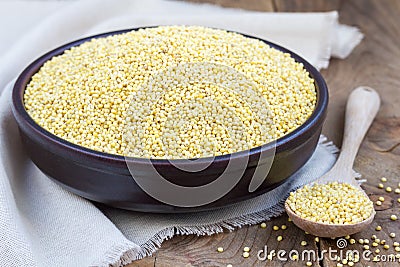 Organic millet groats in ceramic bowl, concept for healthy eating, horizontal Stock Photo