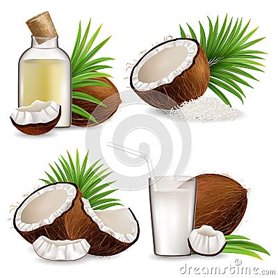 Organic natural coconut set, vector isolated illustration Vector Illustration