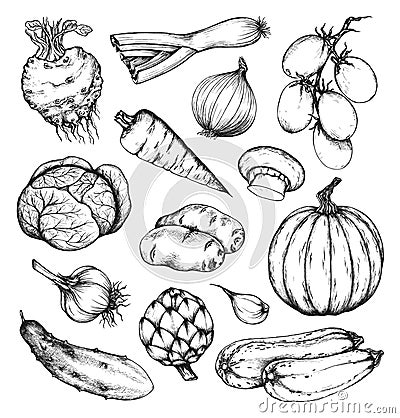 Organic natural fresh vegetables set Vector Illustration