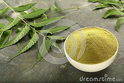 Organic neem leaves powder in ceramic bowl. Stock Photo