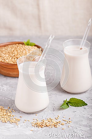 Organic non dairy oats chocolate milk in glass and wooden plate with oats seeds on a black concrete background Stock Photo