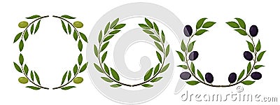 Organic olive products set. Wreath of black olives. Healthy organic products cartoon vector Vector Illustration