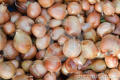 Organic onion Stock Photo