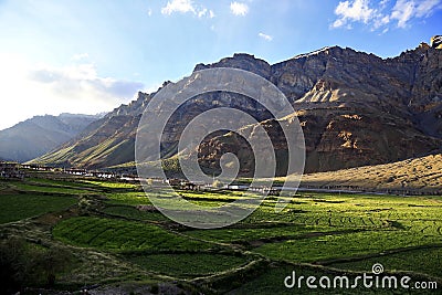 Organic paddy field near rock mountain valley, Northern India Stock Photo