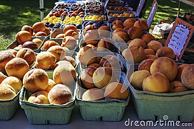 Organic peaches. Farmers market. Organically grown food Stock Photo