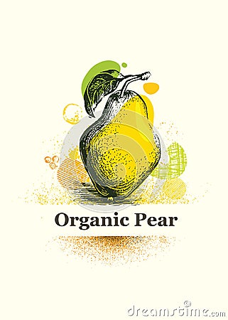 Organic Pear. Fresh Local Farm Fruit Artistic Illustration Vector Illustration