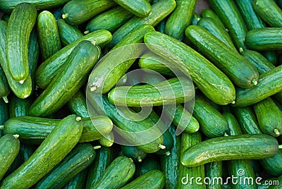 Organic Pickle Cucumbers Stock Photo