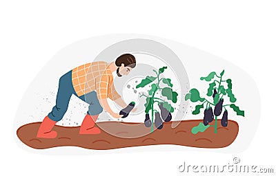 Organic production. Man growing eggplant isolated on white background. Process of local growing in modern style. Organic Vector Illustration