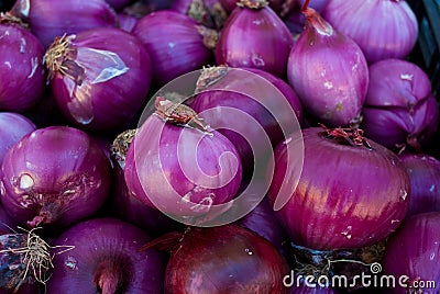 Organic Purple Onions Stock Photo