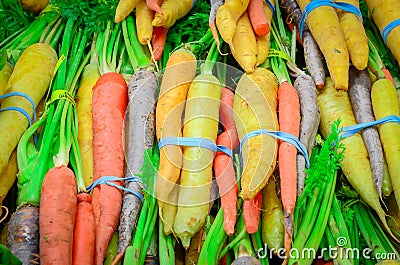 Organic rainbow carrots bunched in rubber bands at food store in America Stock Photo