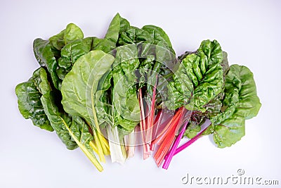 Organic rainbow chard: spray-free leafy greens in fan arrangement isolated on white Stock Photo