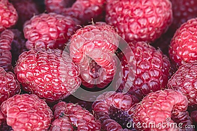 Organic rasberries for sale at a market Stock Photo