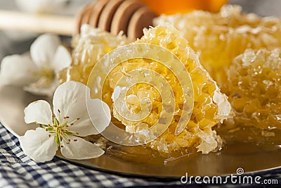 Organic Raw Golden Honey Comb Stock Photo