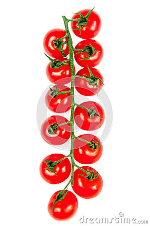 Organic ripe fresh cherry tomatoes on a long branch isolates on white background. Top view Stock Photo