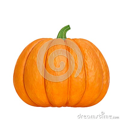 Organic ripe orange pumpkin with green stem isolated on white background front view Cartoon Illustration