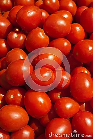 Organic Roma Tomatoes Stock Photo