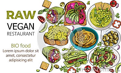 Organic set of raw vegan food. Hummus, beat and avocado toast, rolls, olives, lasagne, salad Vector Illustration