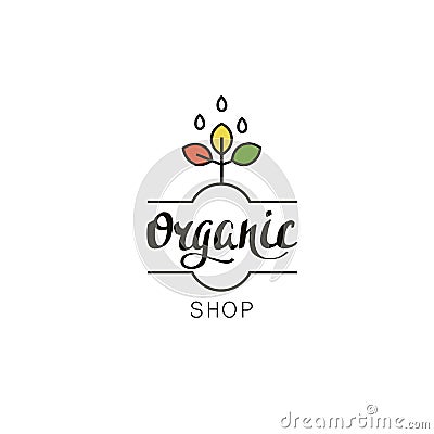 Organic shop logo template. Eco badge with handwritten text and plant in linear style. Vector Illustration