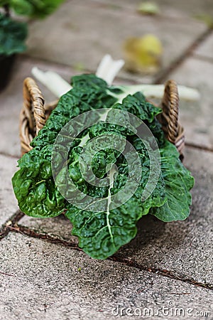 Organic silverbeet on a basket Stock Photo