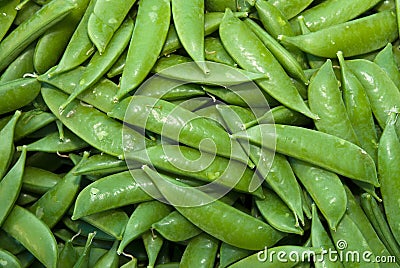 Organic Snow Peas Stock Photo