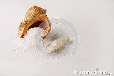 Organic spa sea salt, shell from the sea and a wooden scoop Stock Photo