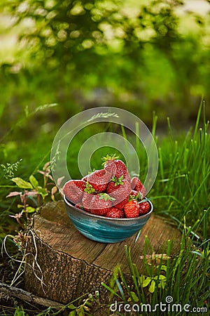 Organic strawberries in bowl on stump Stock Photo