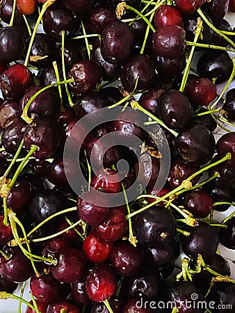Organic tasty dark red cherries Stock Photo