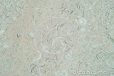 Organic texture of natural stone with prints of sea shells gray pinkish tone. Background Stock Photo