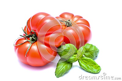 Organic tomatoes Stock Photo