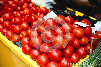 Organic tomatoes Stock Photo