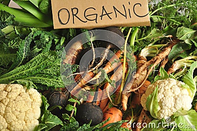 Organic vegetables black turnips, cauliflower, carrots, kale Stock Photo