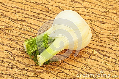 Organic vegan food - fennel root Stock Photo