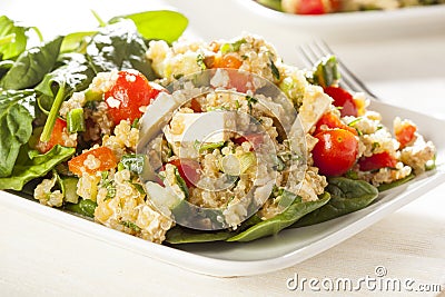 Organic Vegan Quinoa with vegetables Stock Photo